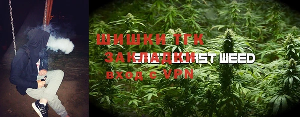 амф Зеленокумск
