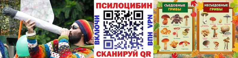 Псилоцибиновые грибы MAGIC MUSHROOMS ссылка на мегу tor Спасск-Дальний