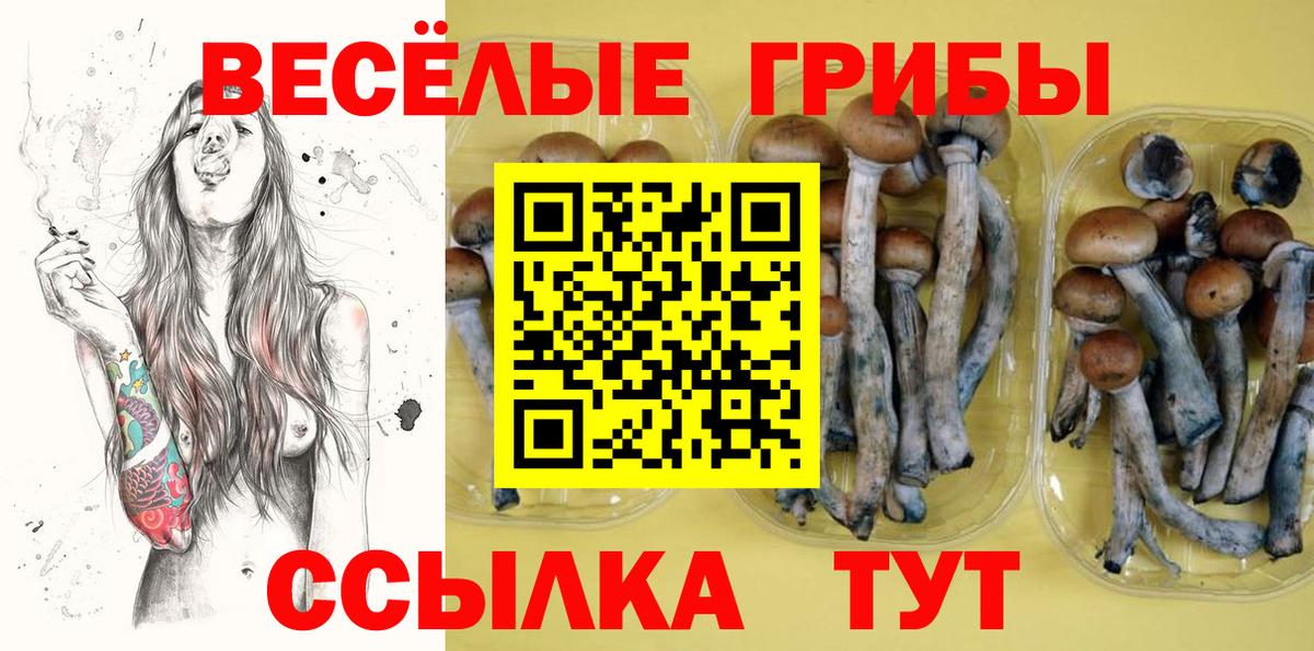 Галлюциногенные грибы GOLDEN TEACHER  Псилоцибиновые грибы Psilocybine cubensis  Спасск-Дальний  Вход с VPN 
