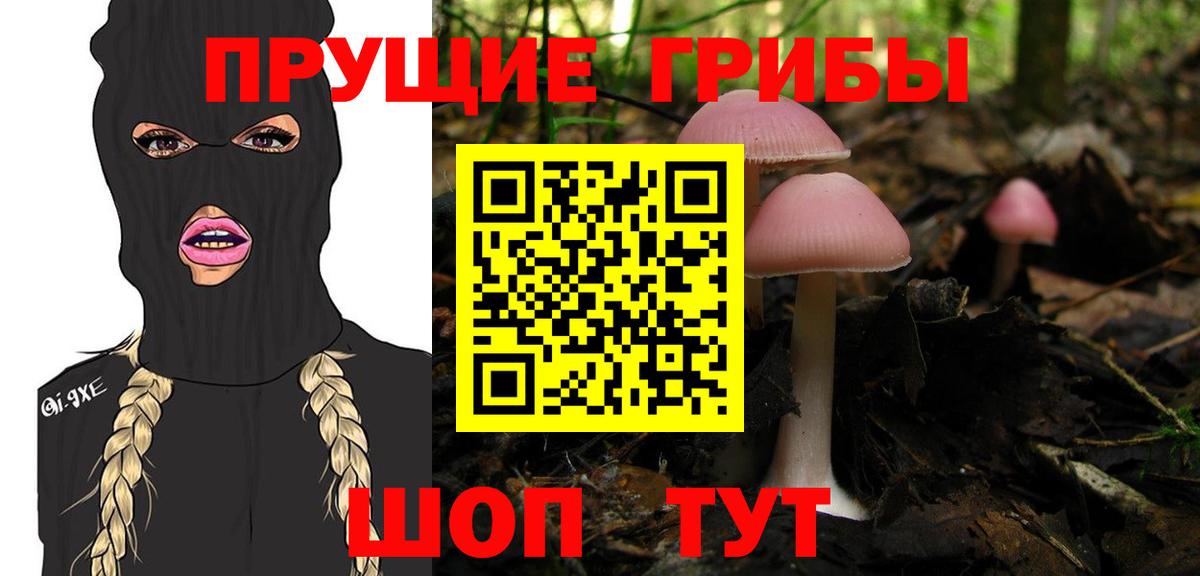 Галлюциногенные грибы Psilocybe  Спасск-Дальний 